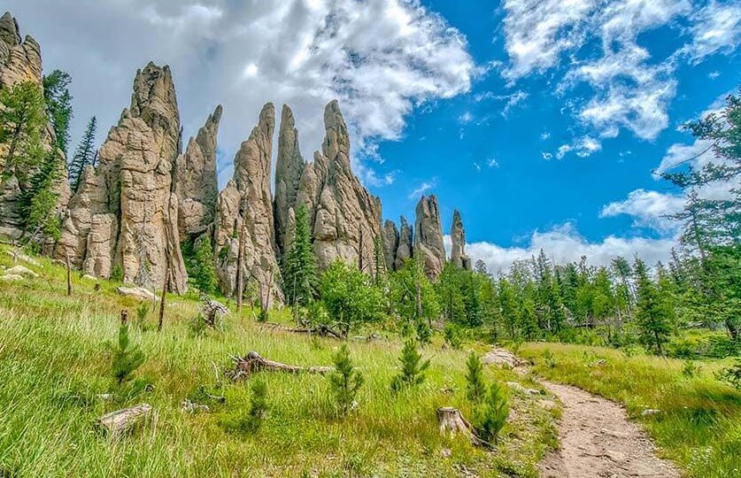 Custer State Park, South Dakota, USA